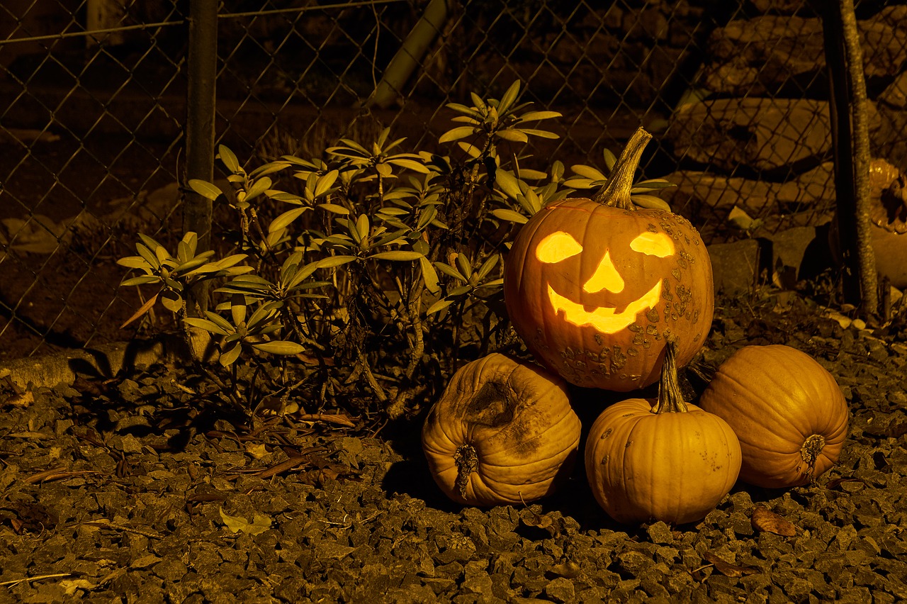 pumpkin food autumn free photo