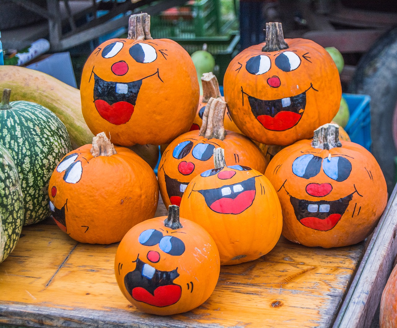 pumpkin  festival  halloween free photo