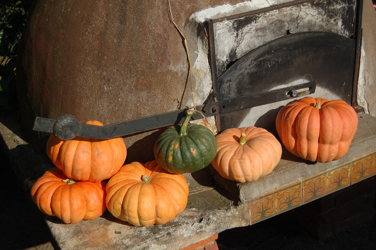 pumpkin  bread oven  farm free photo