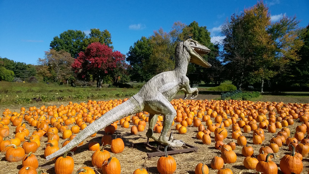 pumpkin  dinosaur  autumn free photo
