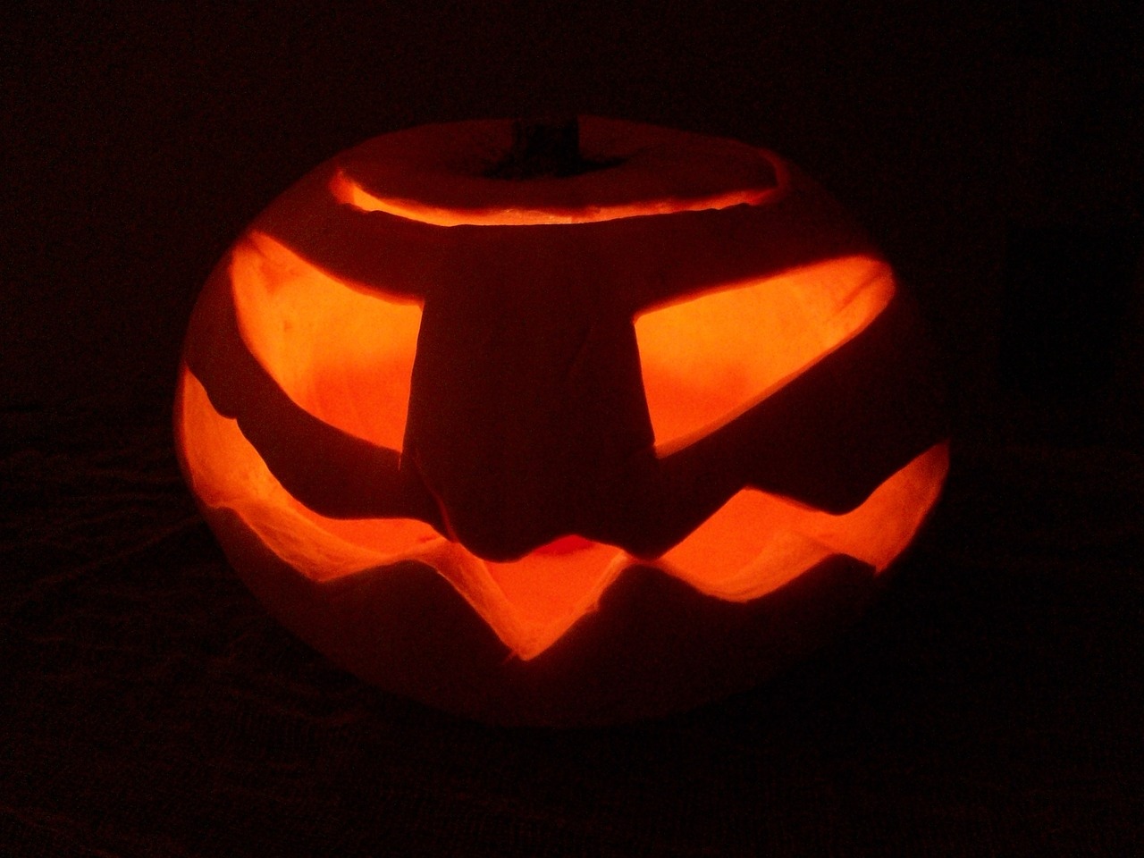 pumpkin halloween night free photo