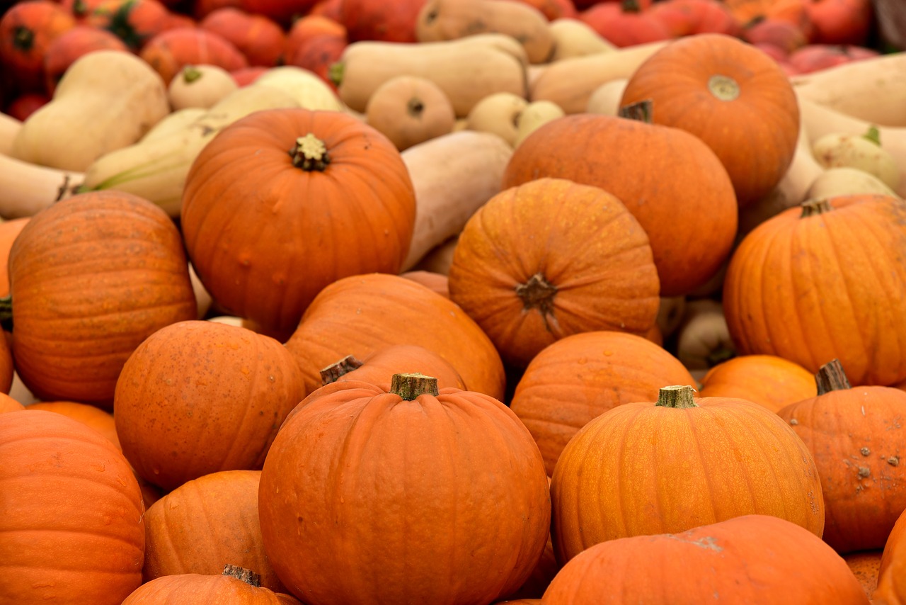 pumpkin  market stall  market free photo