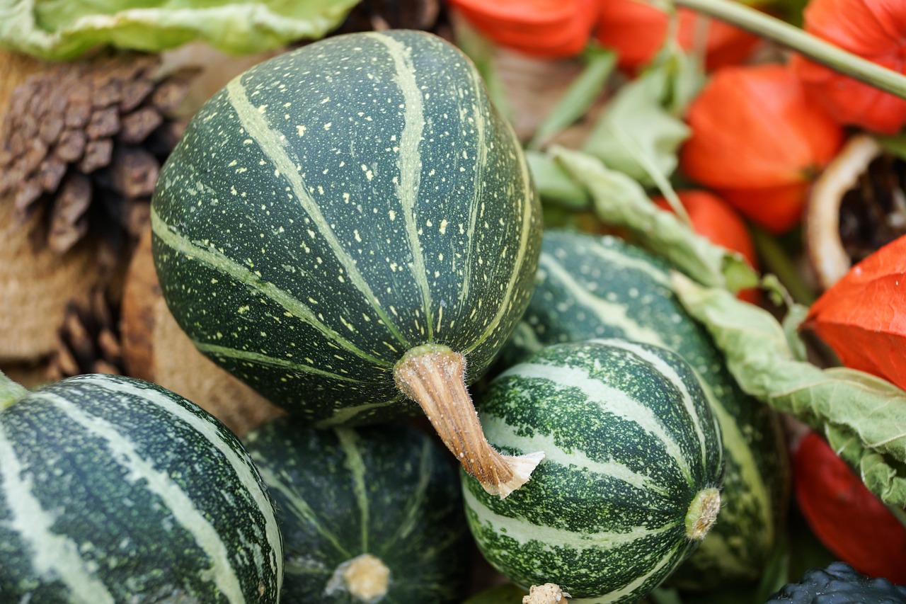 pumpkin autumn orange free photo