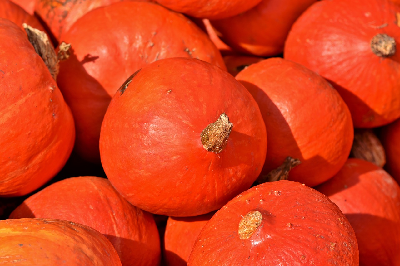 pumpkin  fruit  autumn free photo