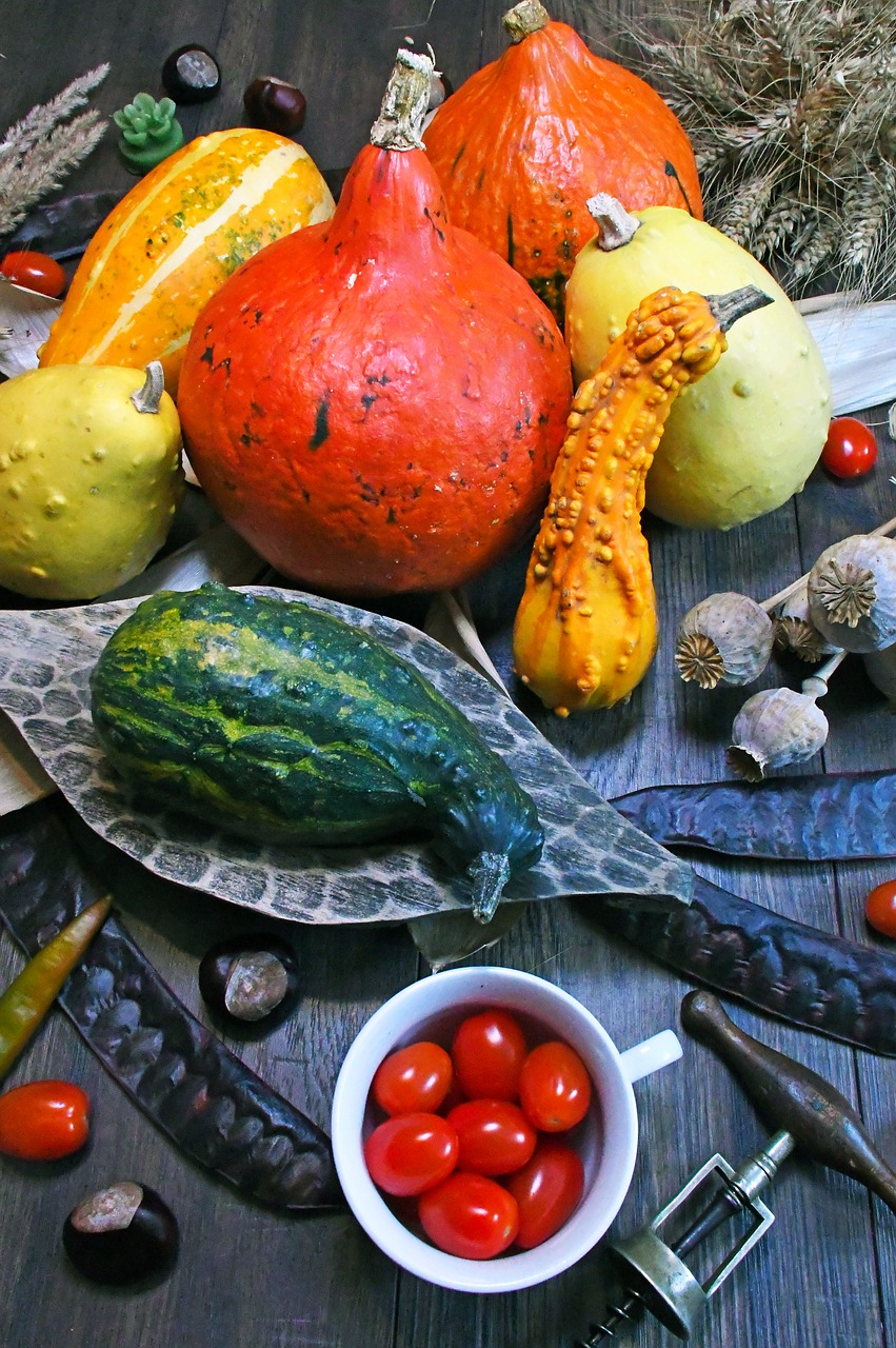 pumpkin  autumn  autumn still life free photo