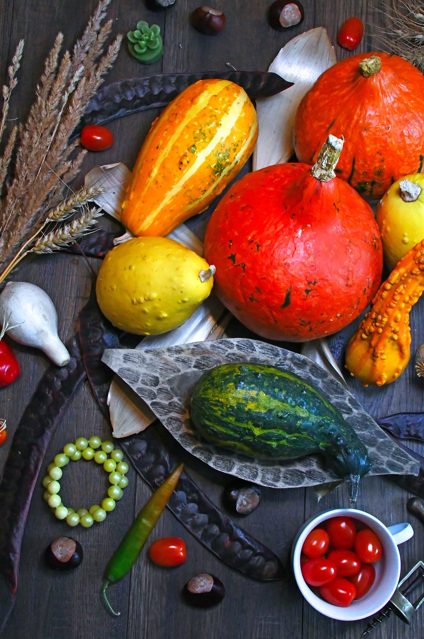 pumpkin  autumn  autumn still life free photo