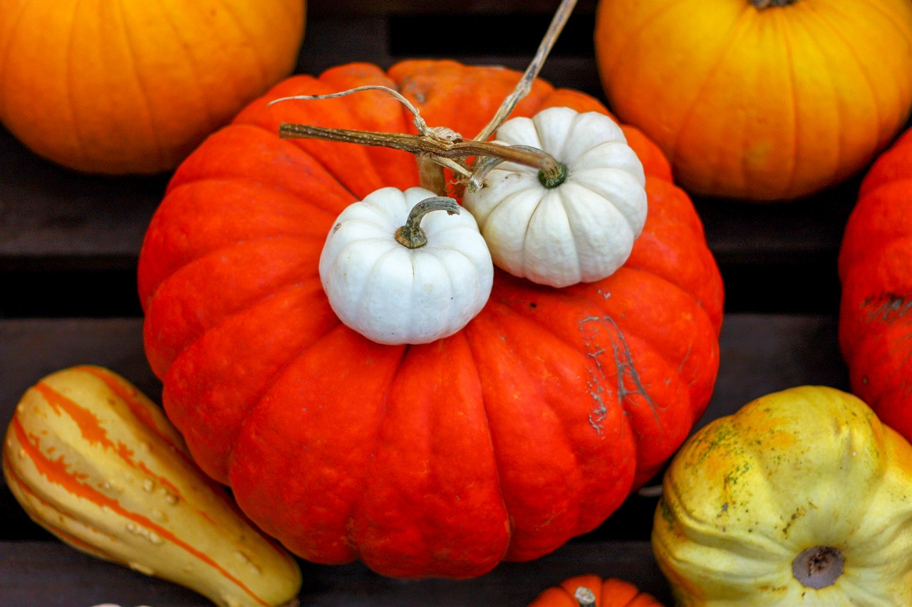 pumpkin  autumn  decoration free photo