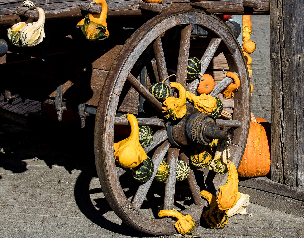 pumpkin  pumpkins  decoration free photo