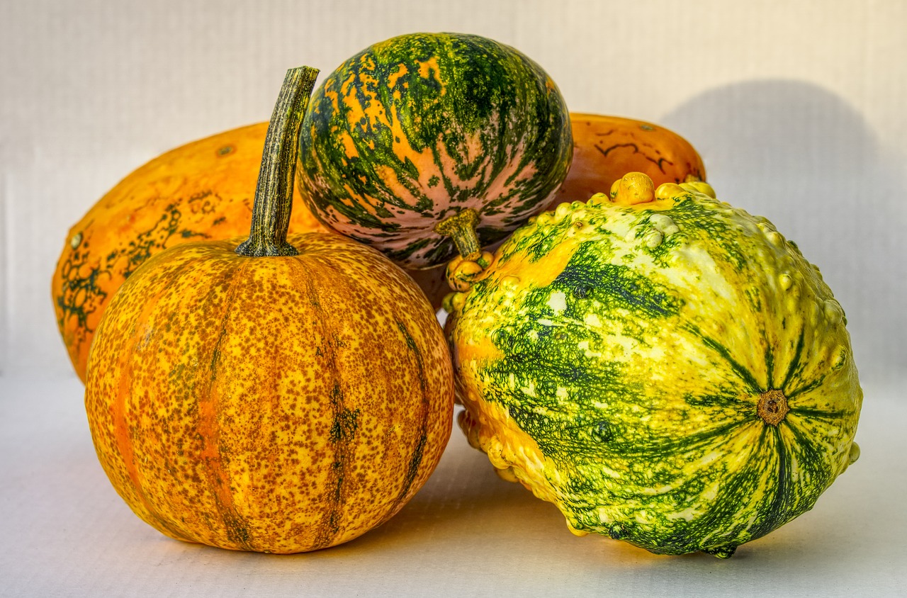 pumpkin  decorative squashes  decoration free photo