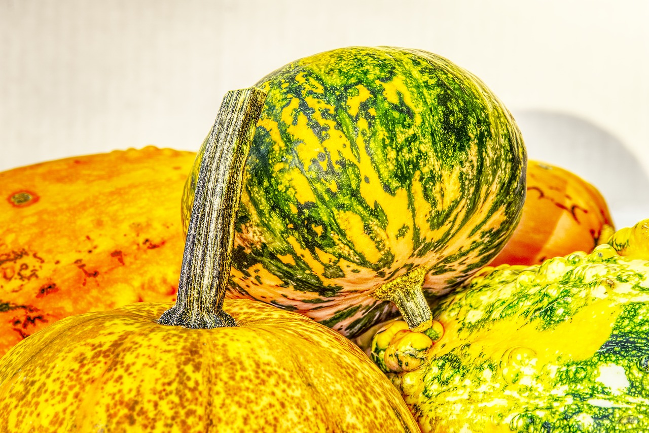 pumpkin  decorative squashes  decoration free photo