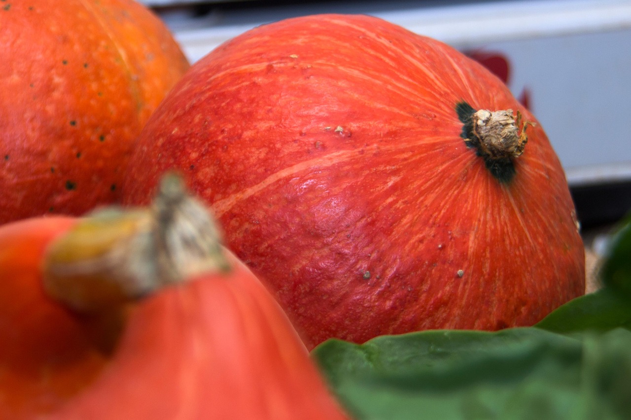 pumpkin  vegetables  food free photo