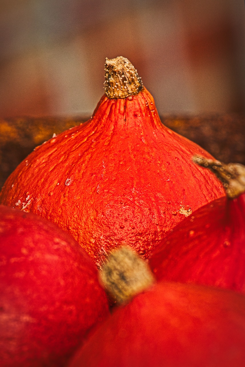 pumpkin  hokkaido  orange free photo