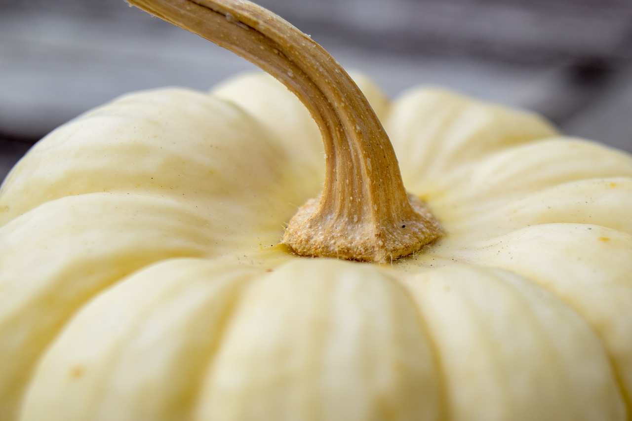 pumpkin  autumn  prydnadspumpa free photo