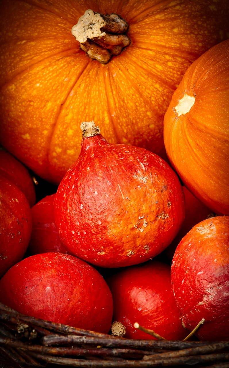 pumpkin  hokkaido  orange free photo