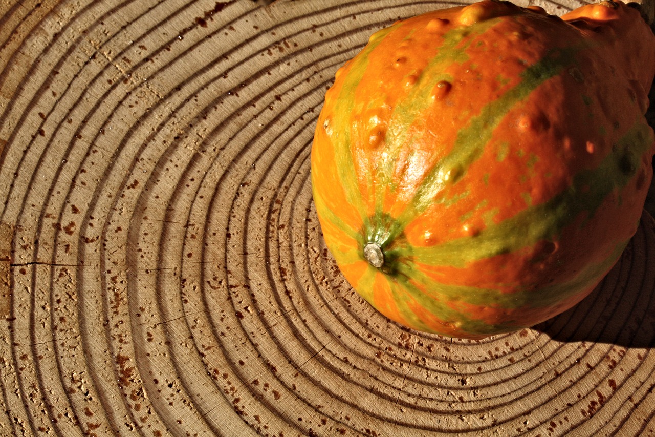 pumpkin  wood  tree grates free photo