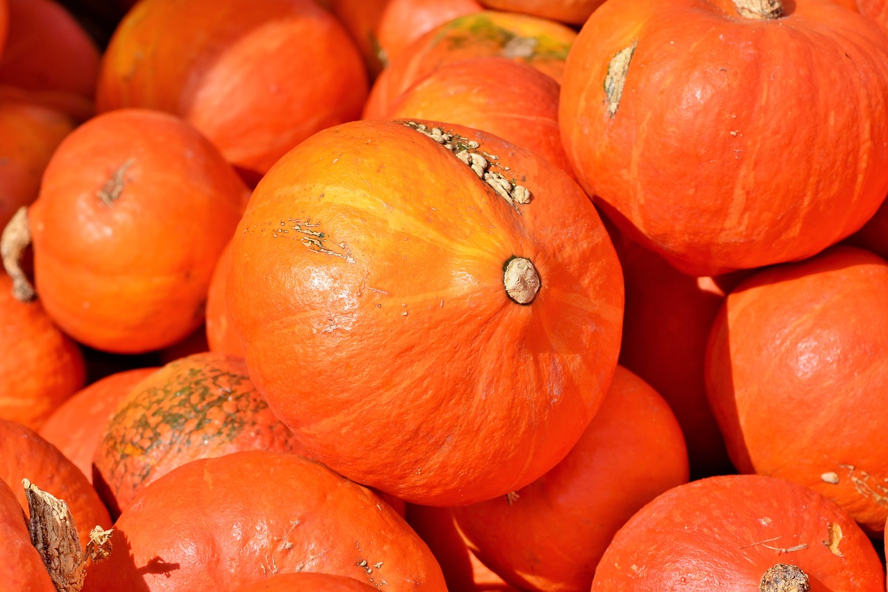 pumpkin  fruit  autumn free photo