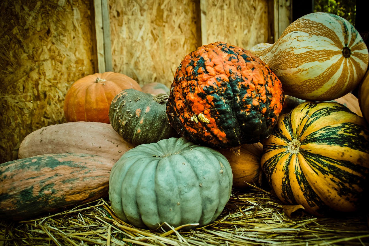 pumpkin  autumn  halloween free photo