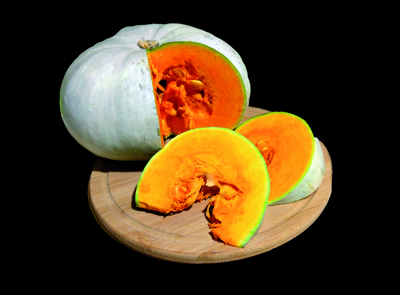 pumpkin  vegetable  orange free photo