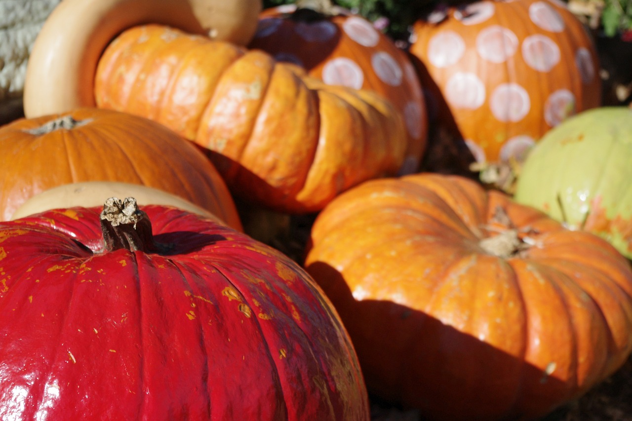 pumpkin  halloween  decoration free photo