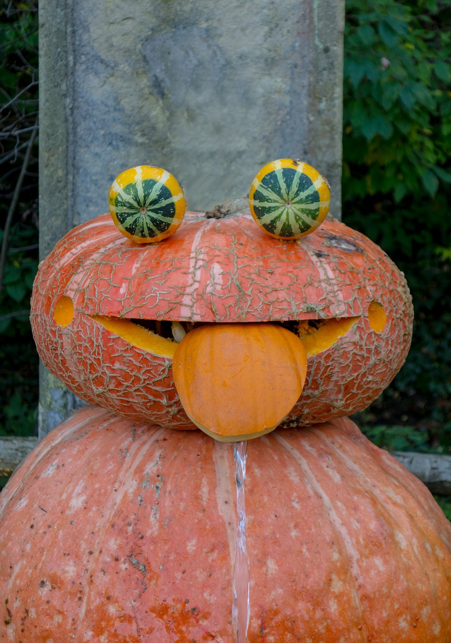 pumpkin face autumn free photo