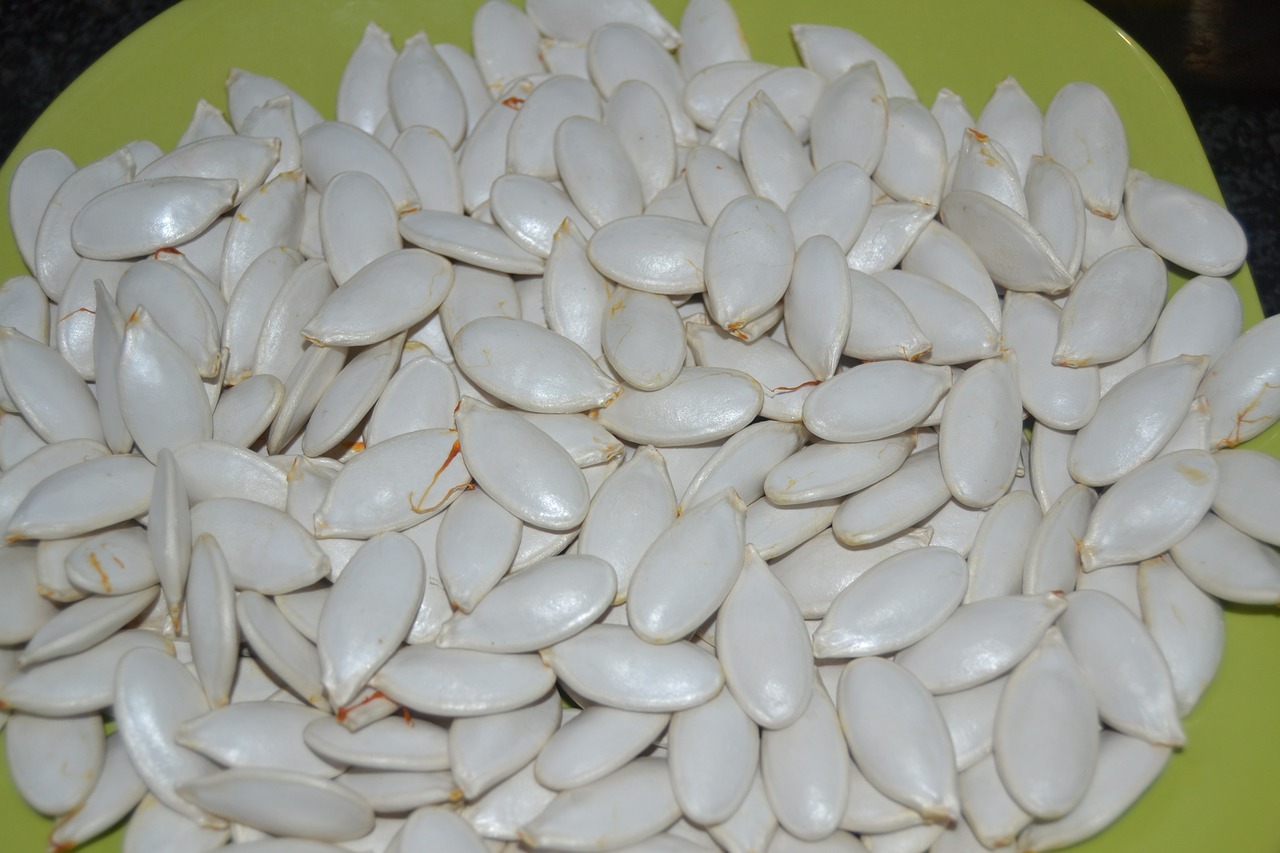 pumpkin seeds medicinal free photo