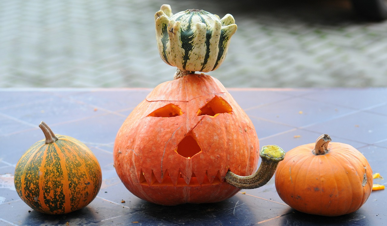 pumpkin halloween pumpkin ghost free photo