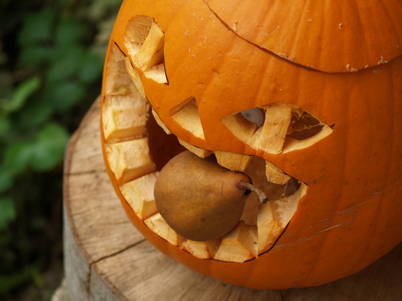 pumpkin helloween pear free photo