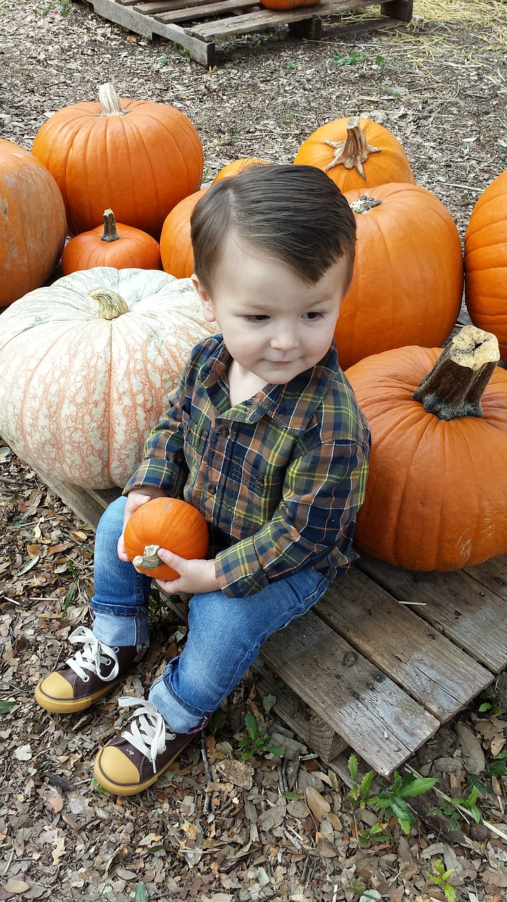 pumpkin fall boy free photo