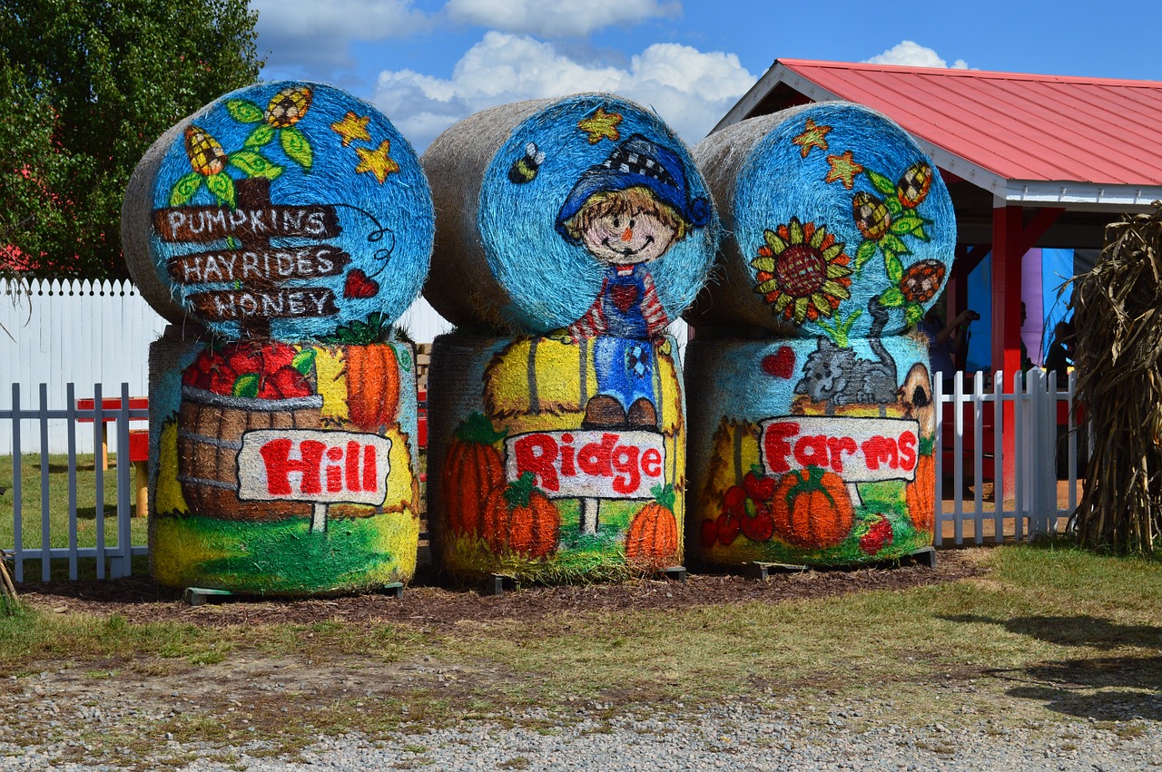 pumpkin farm attraction free photo