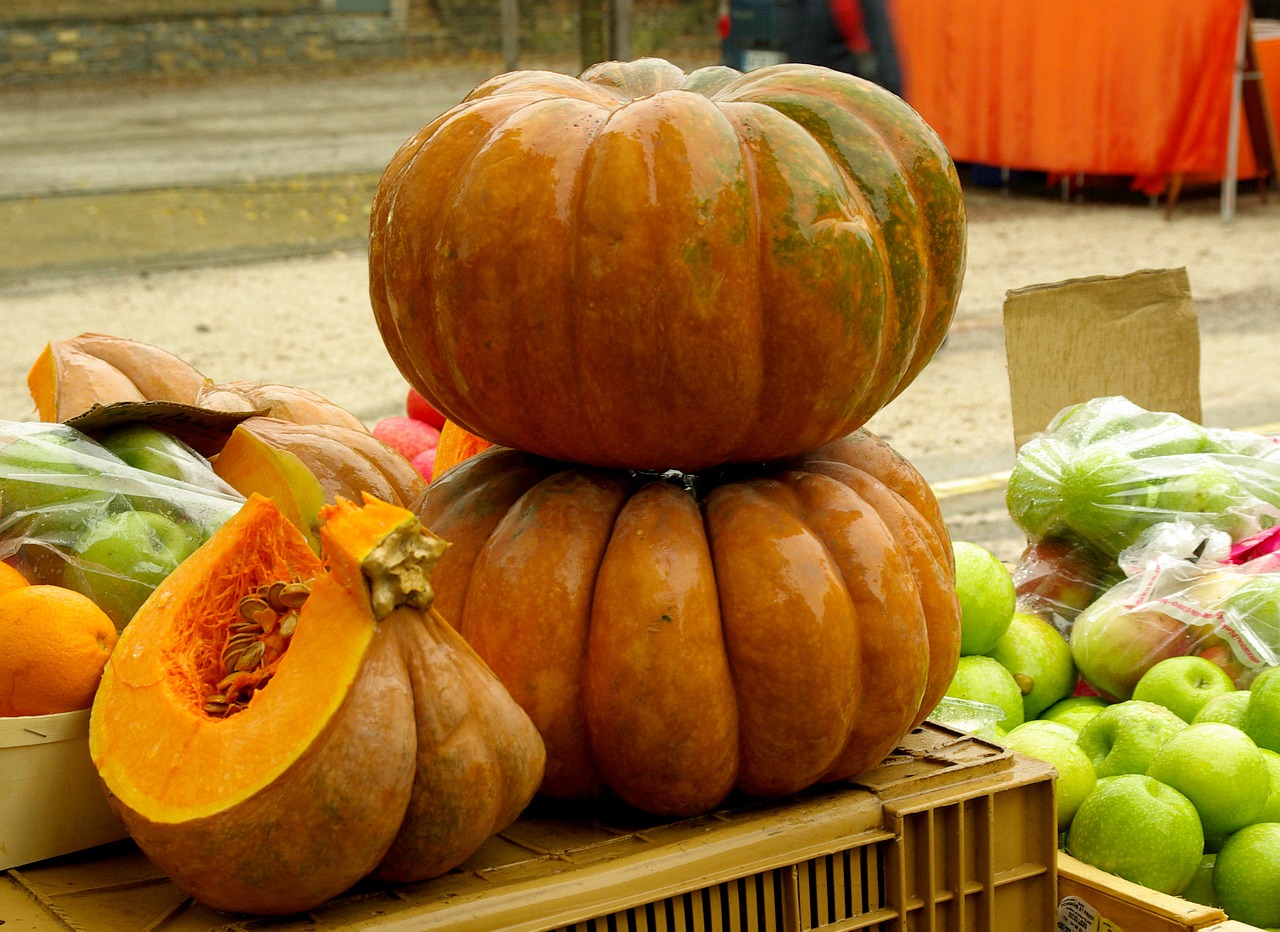 pumpkin squash vegetables free photo