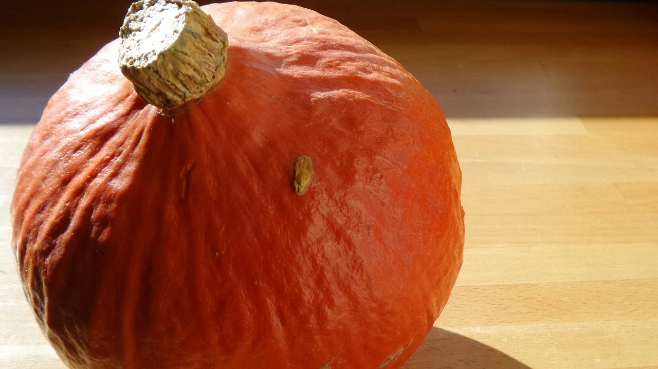 pumpkin vegetables garden free photo