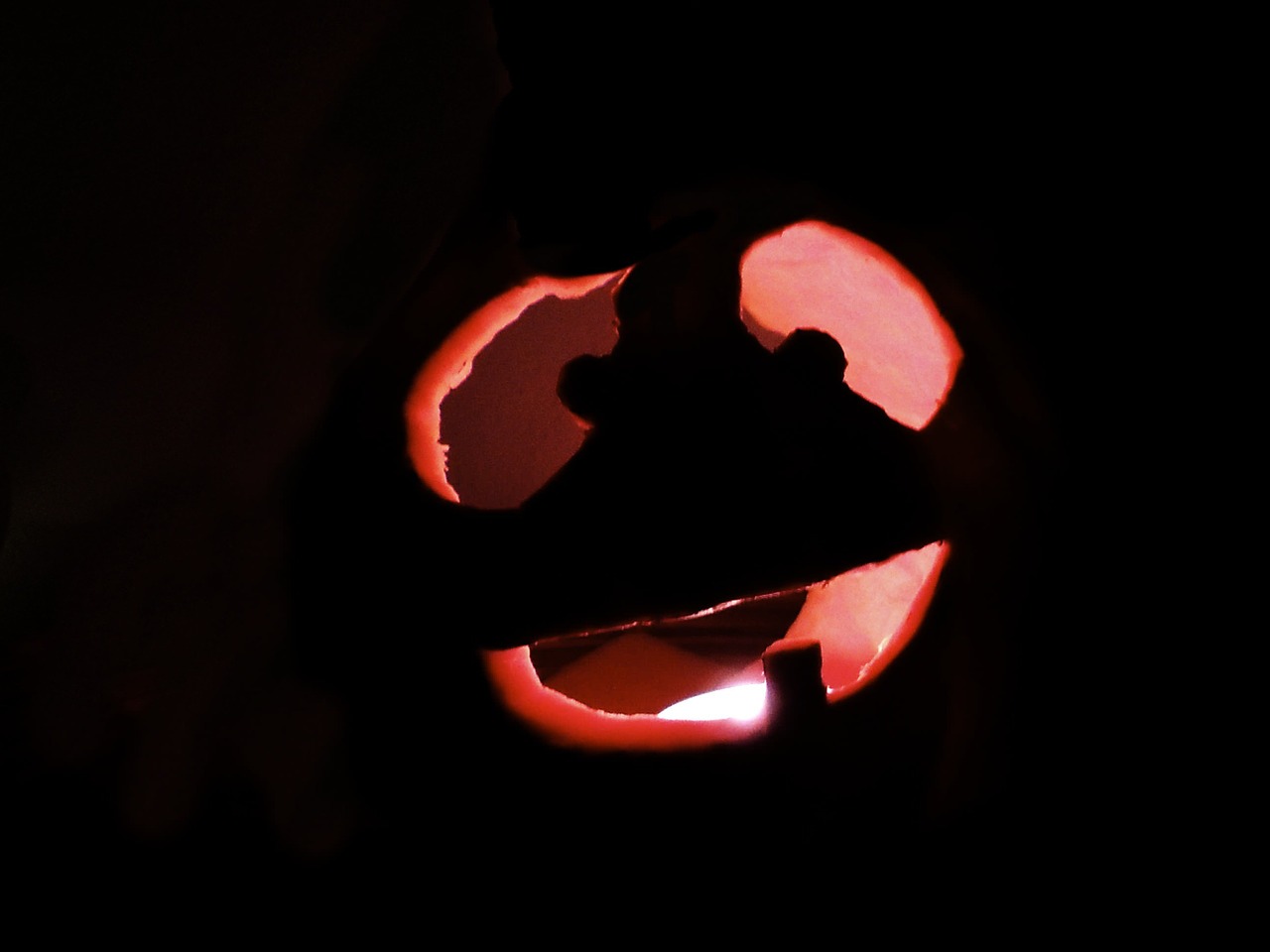 pumpkin dark halloween free photo