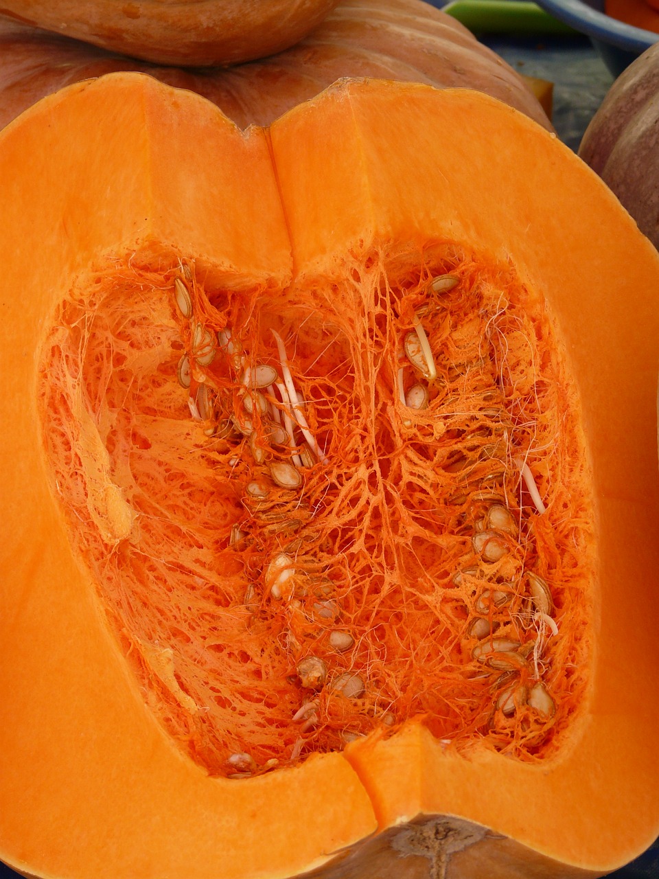 pumpkin sliced pulp free photo