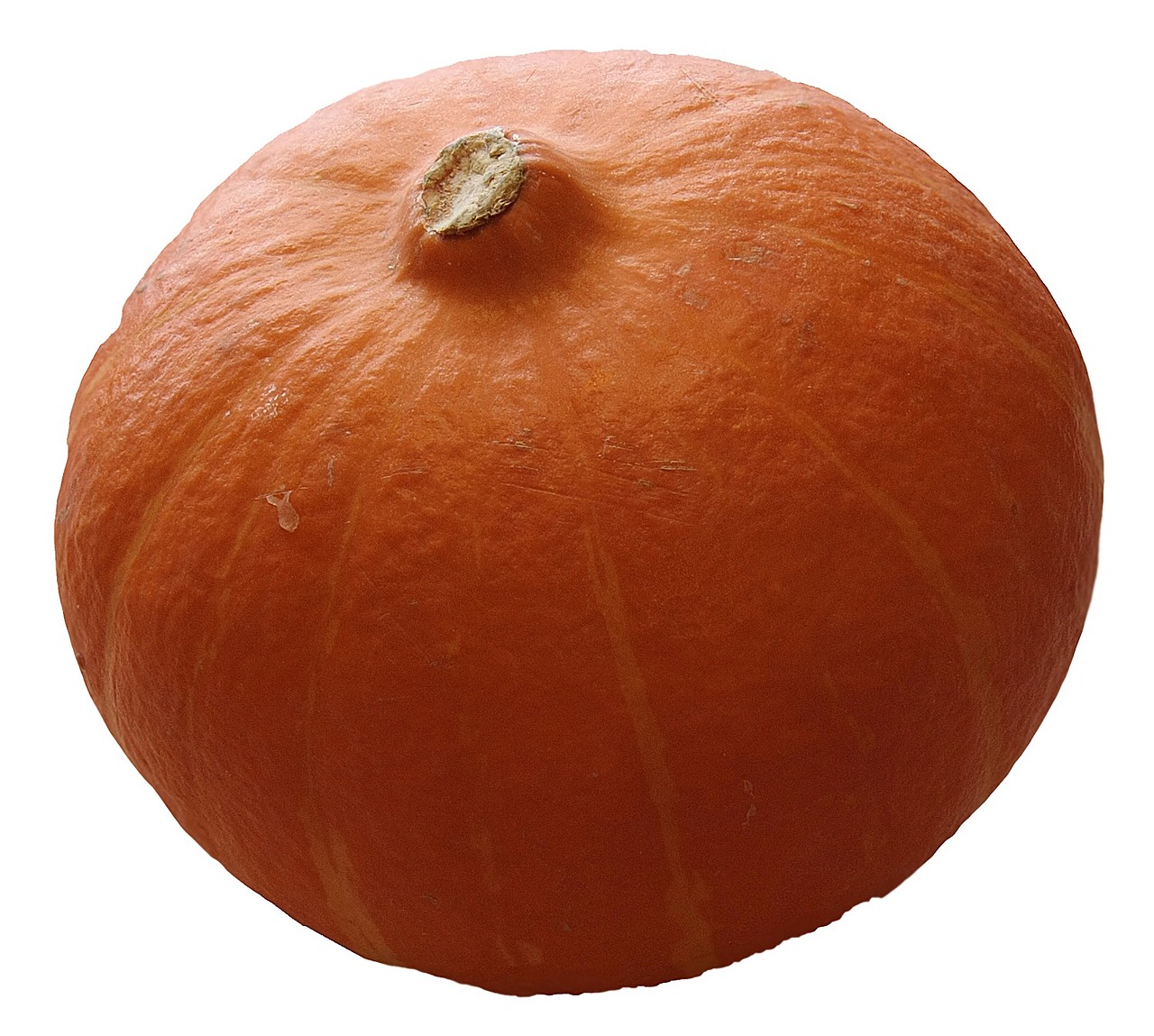 pumpkin hokkaidō japan orange free photo
