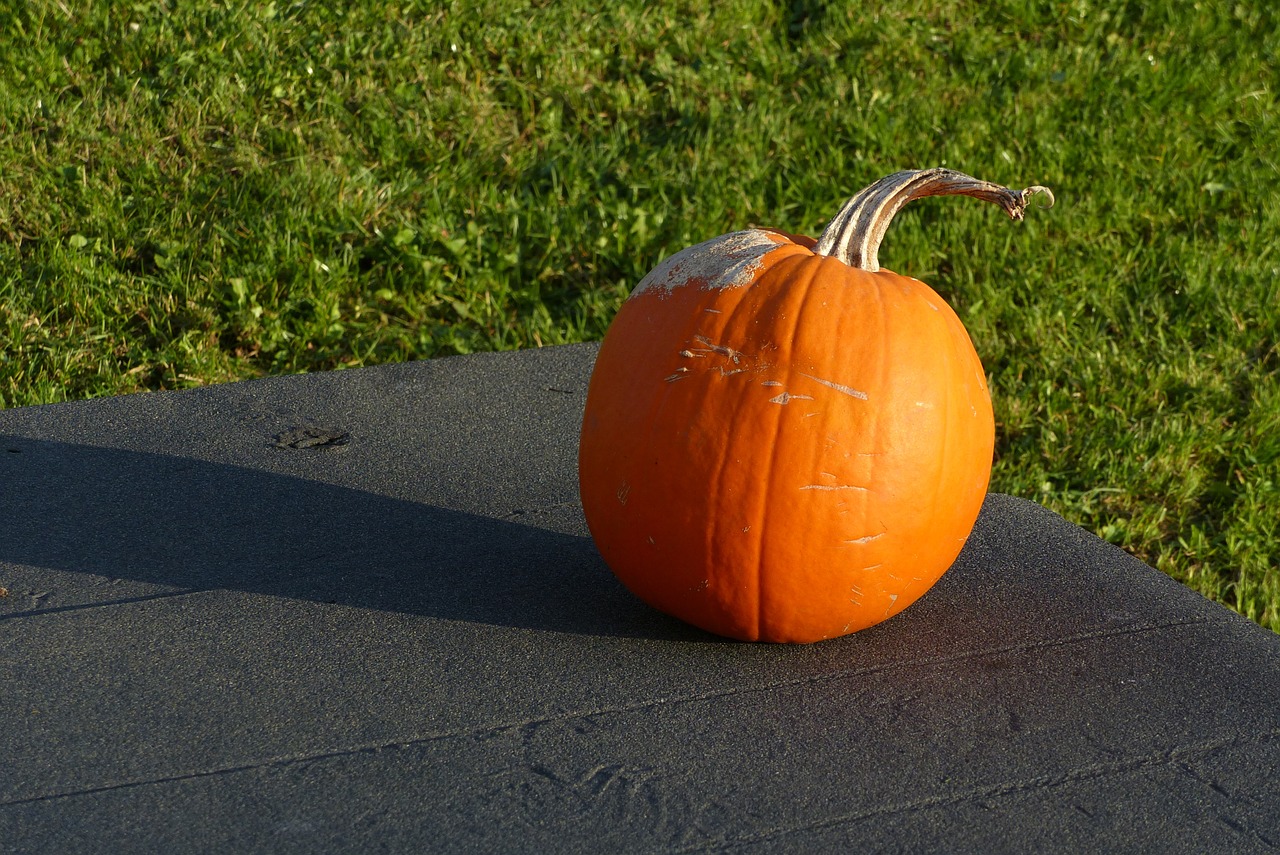 pumpkin halloween autumn free photo