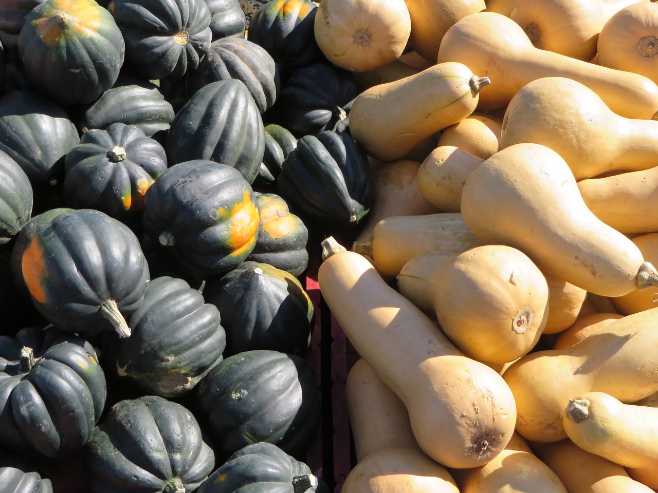 pumpkin market fruit free photo