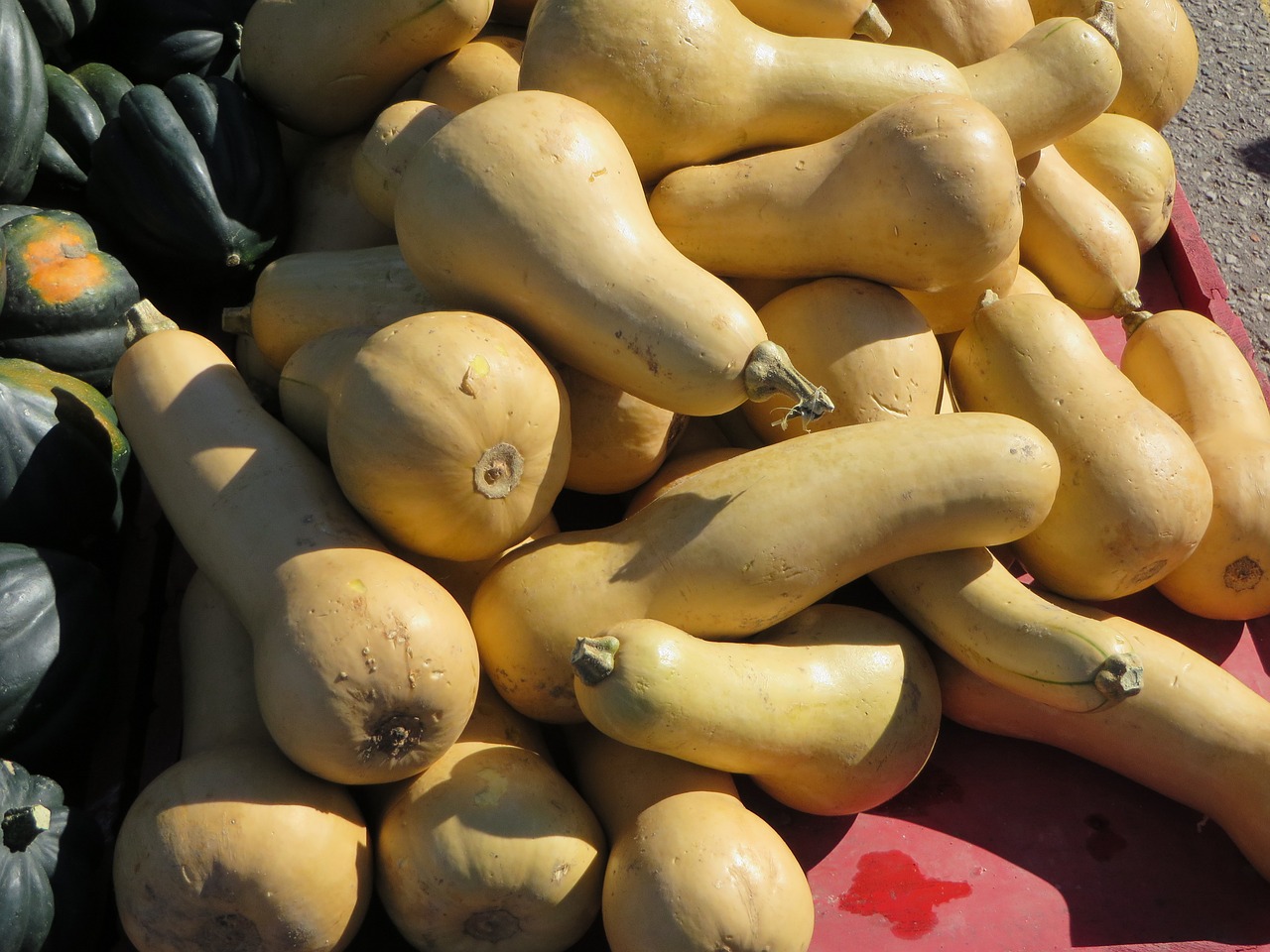 pumpkin market fruit free photo