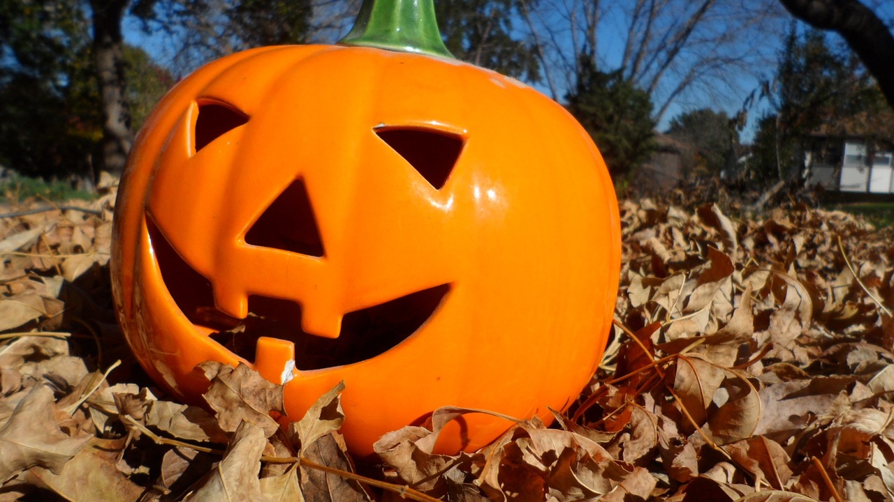 pumpkin leaves fall free photo