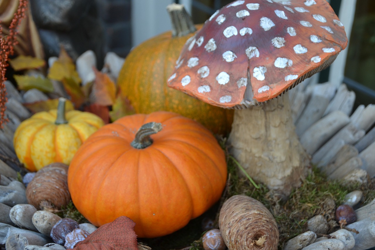 pumpkin mushroom autumn mood free photo