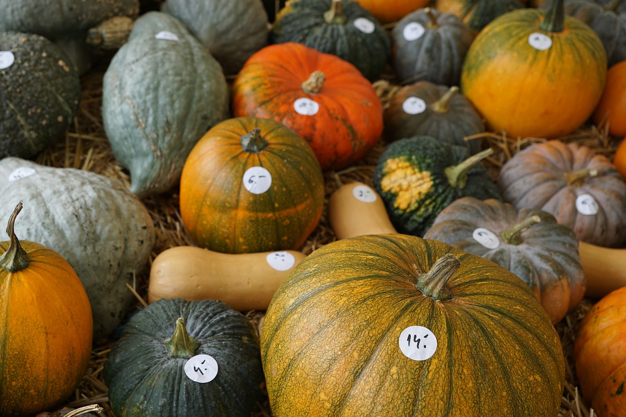 pumpkin yellow healthy free photo