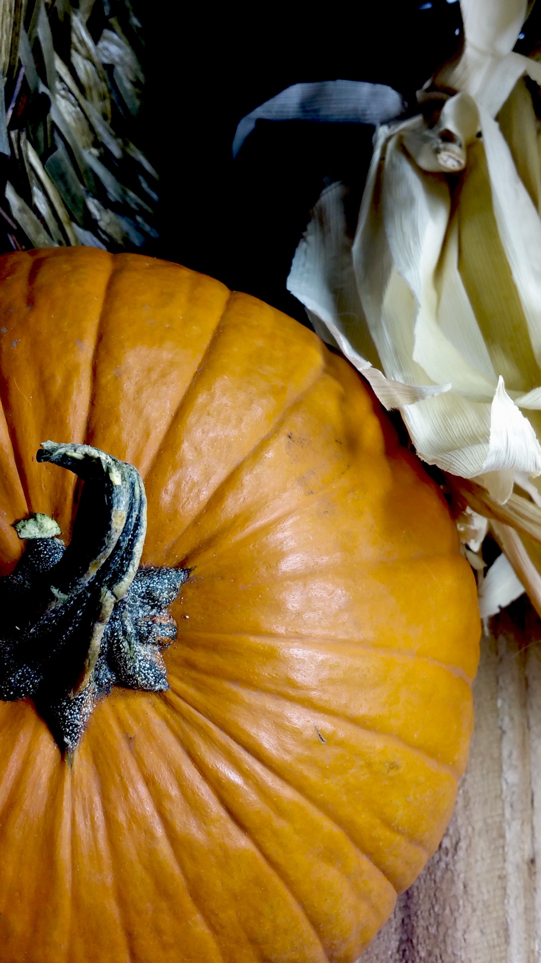 pumpkin corn husks free photo