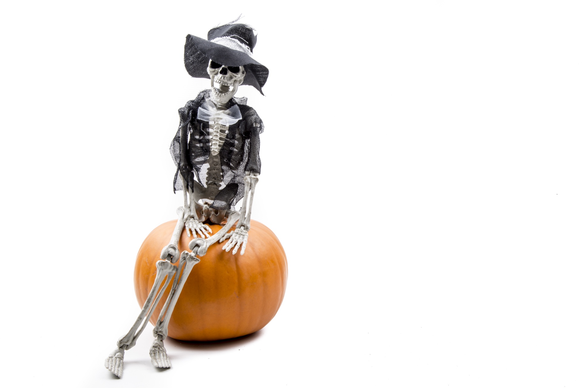 skeleton pumkin halloween free photo