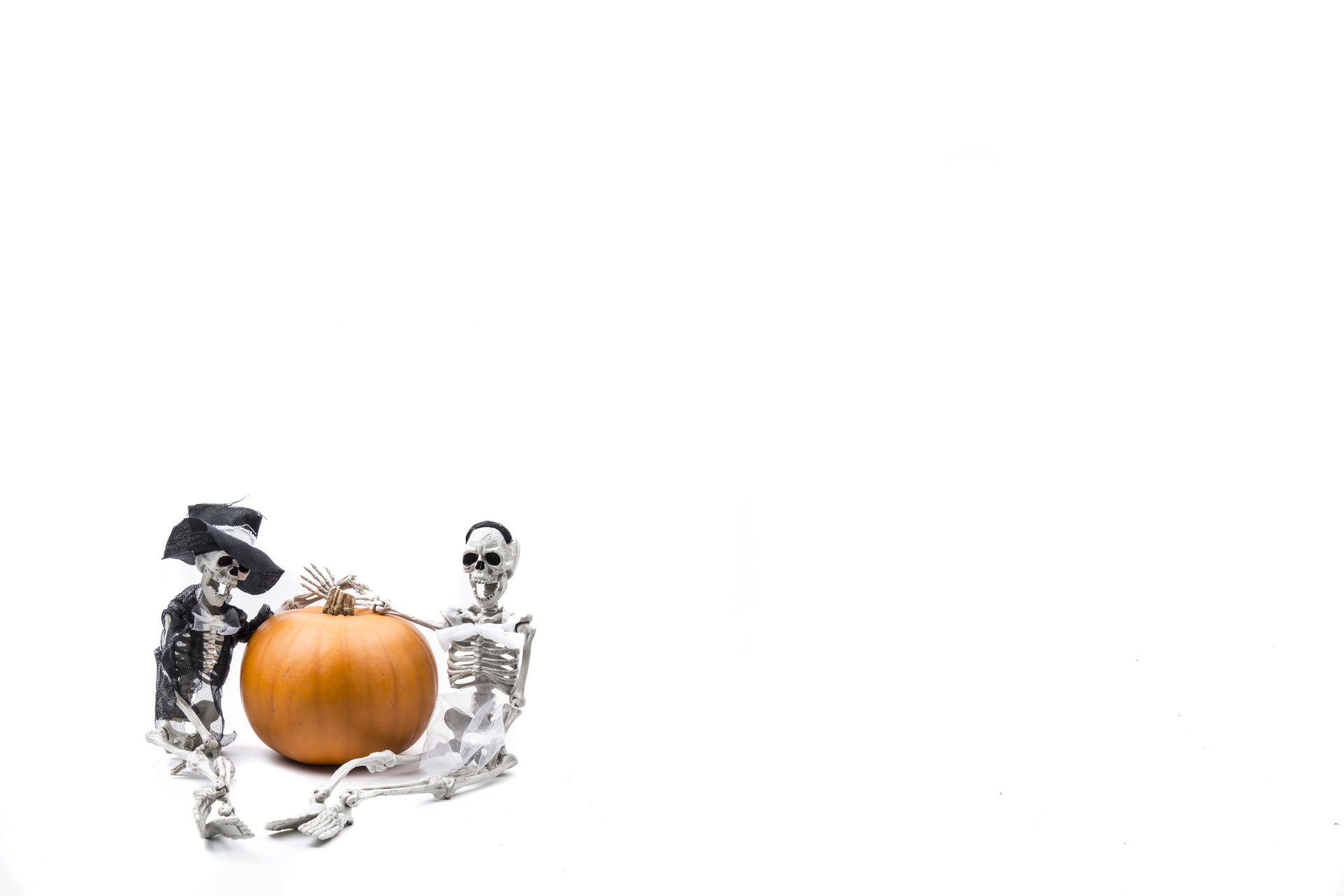 skeleton pumkin halloween free photo