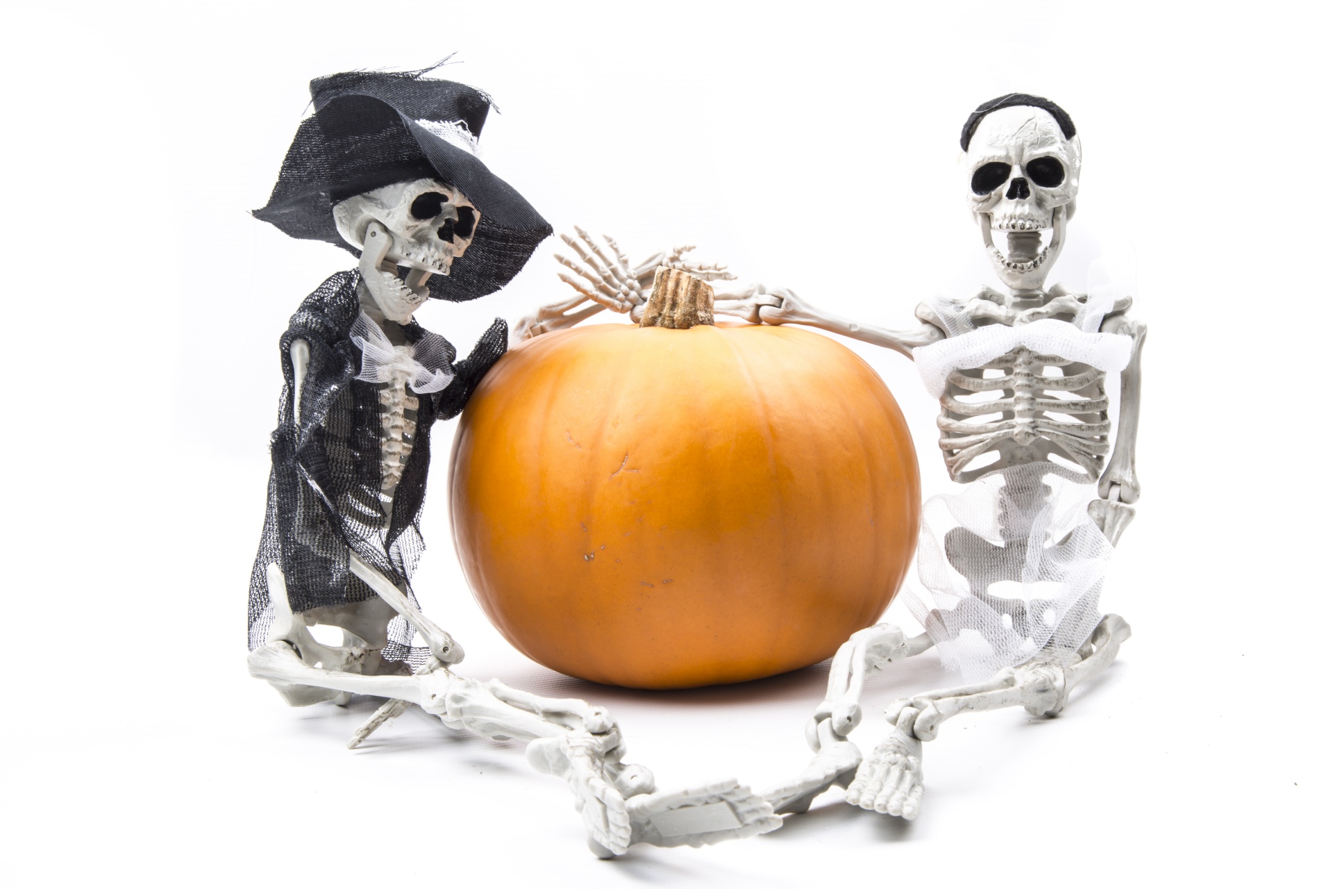 skeleton pumkin halloween free photo