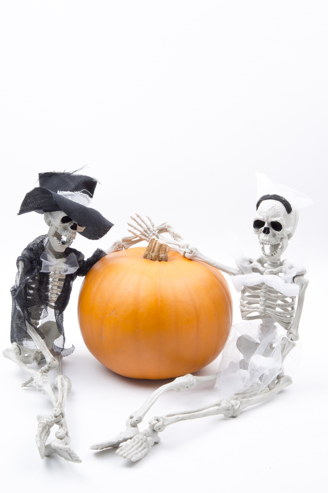 skeleton pumkin halloween free photo