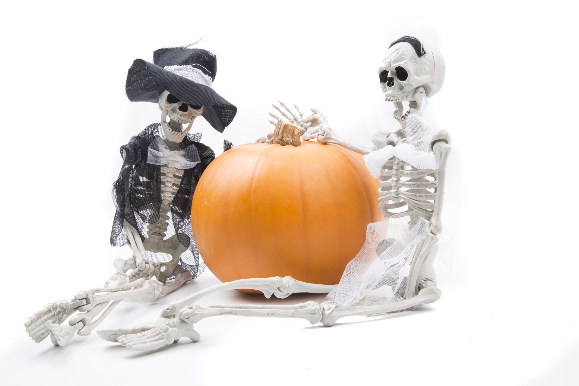 skeleton pumkin halloween free photo