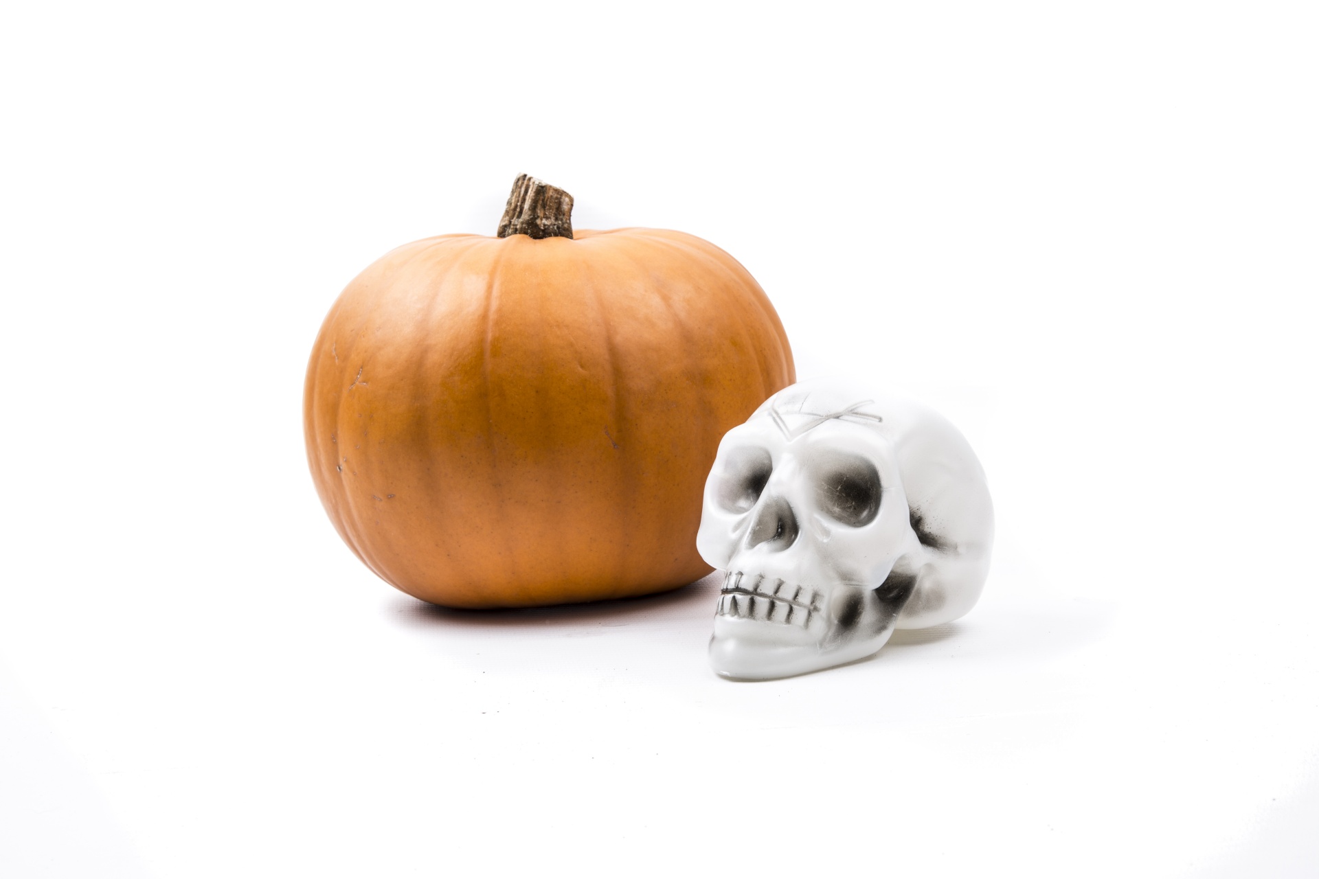 skeleton pumkin halloween free photo