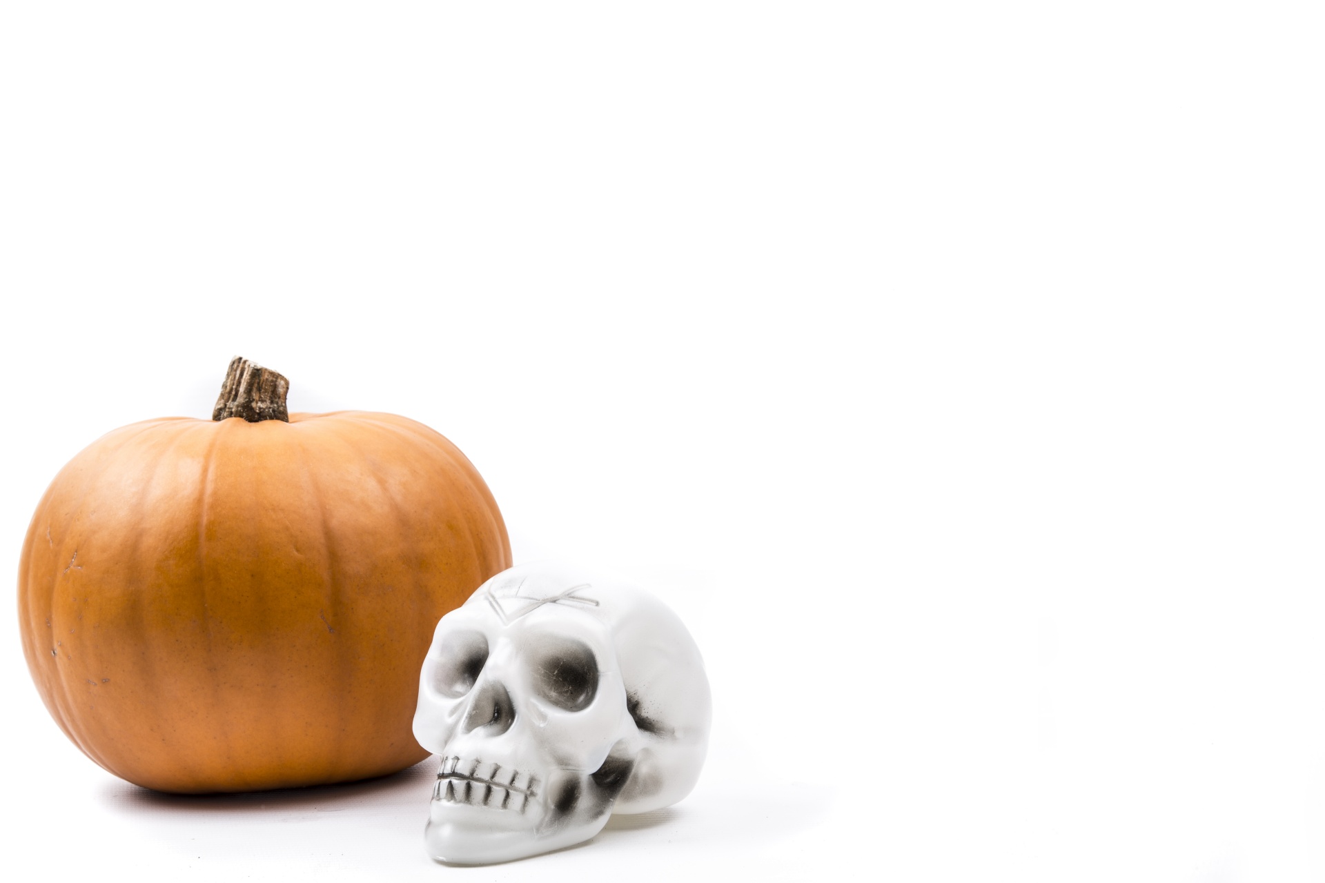 skeleton pumkin halloween free photo