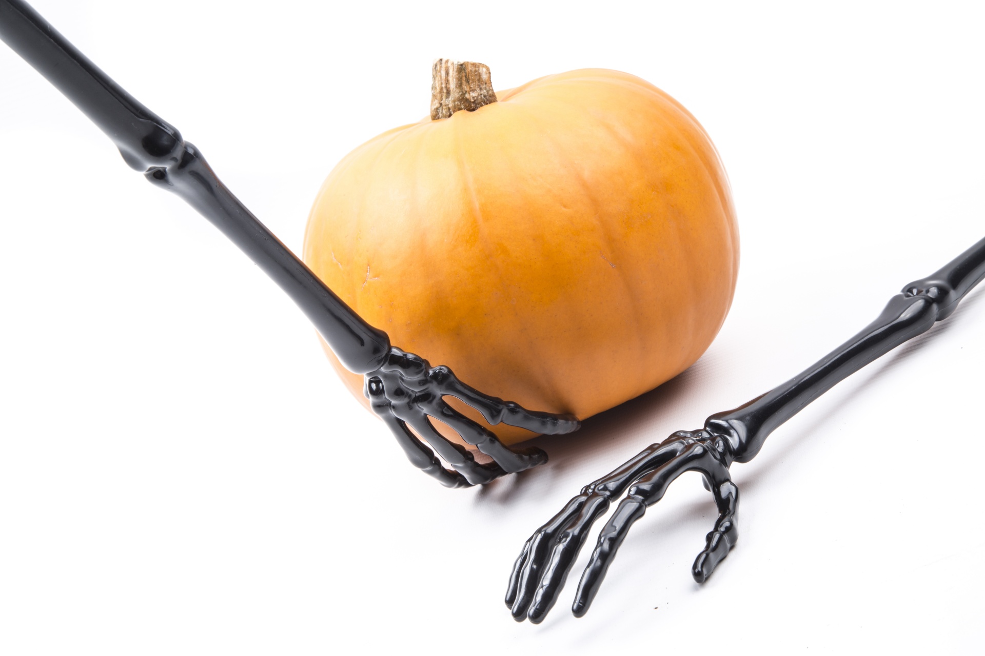 skeleton pumkin halloween free photo