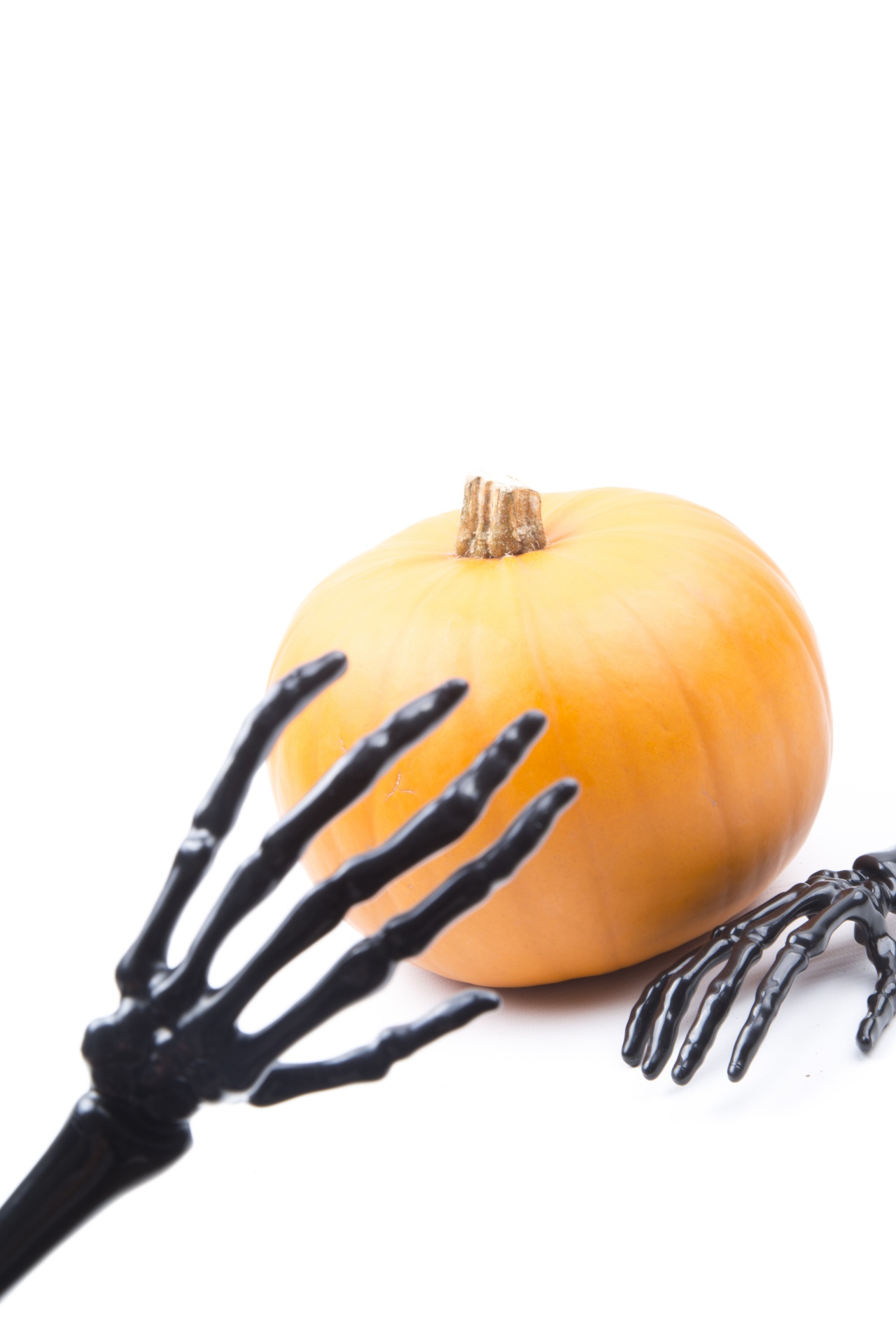 skeleton pumkin halloween free photo